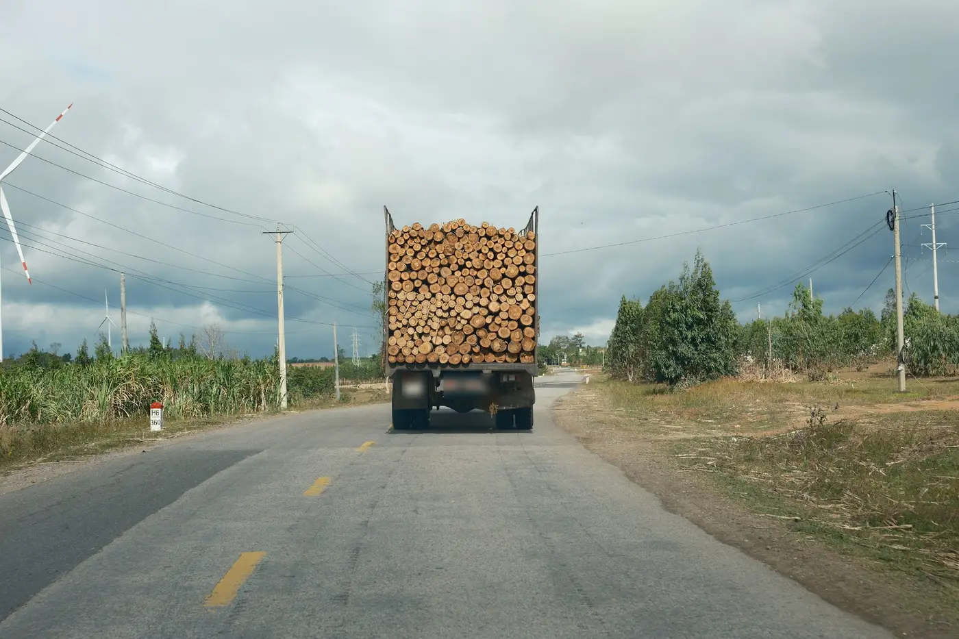 Holztransporter auf einer Landstraße