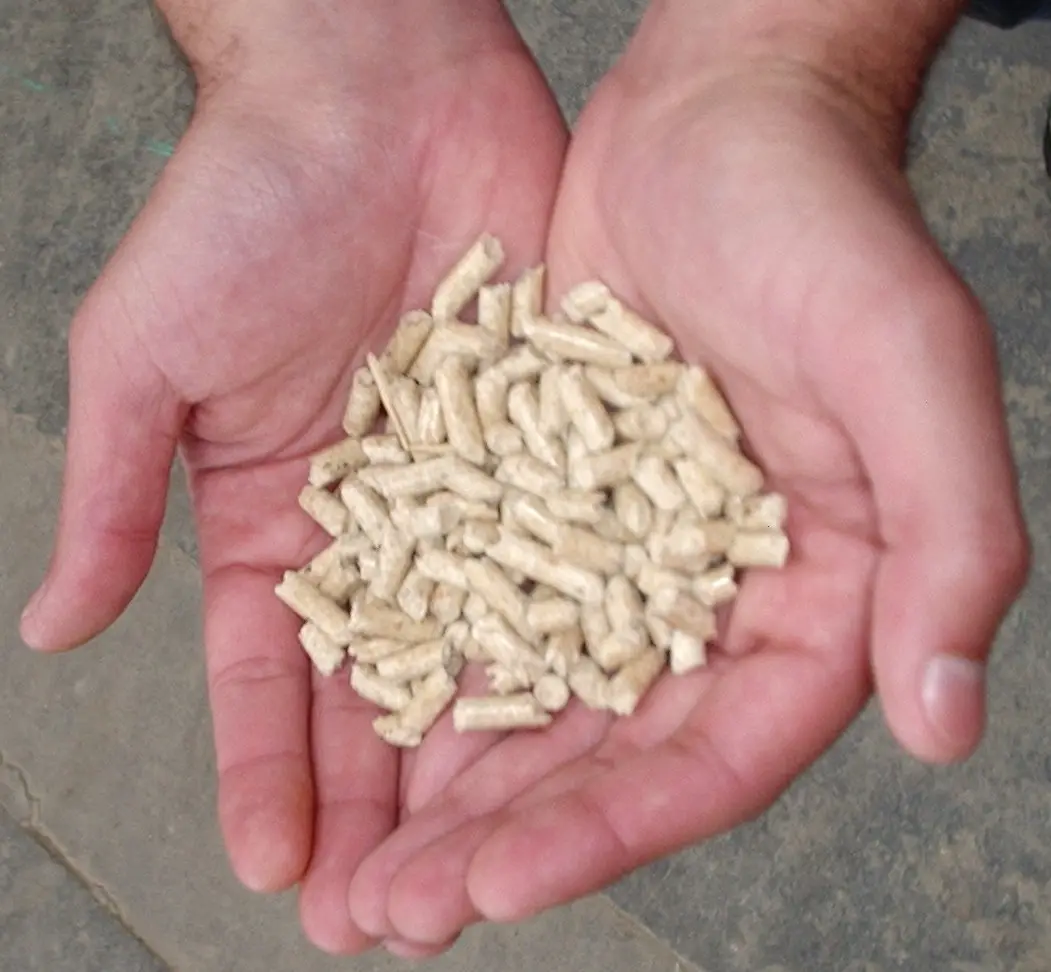 Holzpellets in zwei Händen