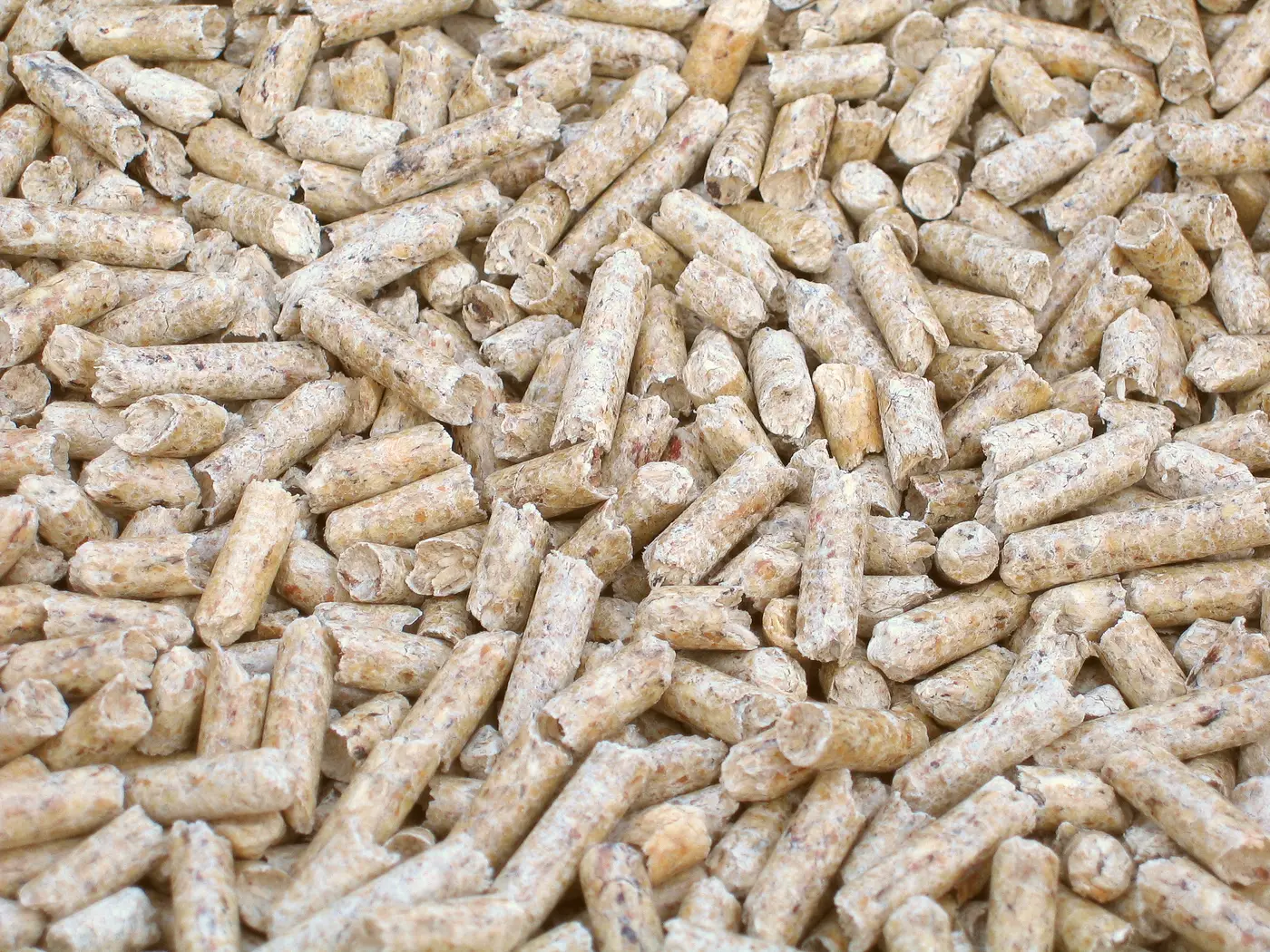 Holzpellets in Nahaufnahme